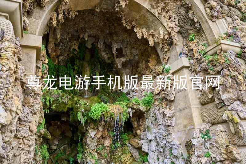 尊龙电游手机版最新版官网